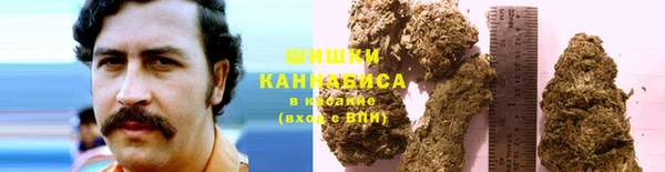 гидра Баксан