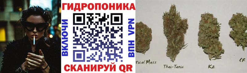 omg ССЫЛКА  Льгов  Марихуана Amnesia 